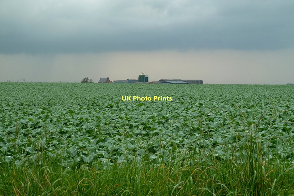 Photo 6"x4" Deepdale Farm from the south Bolsover c2011