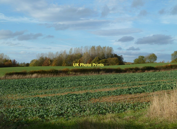 Photo 6"x4" Fields by Carr Lane Bolsover c2011