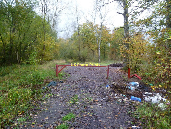 Photo 6"x4" Maiden Bradley, gate Gare Hill c2011