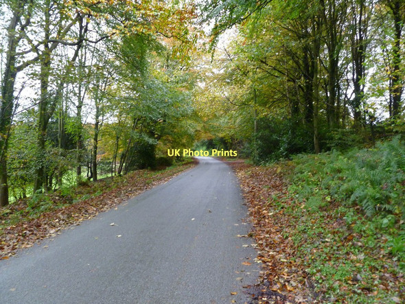 Photo 6"x4" Horningsham, country road Horningsham c2011