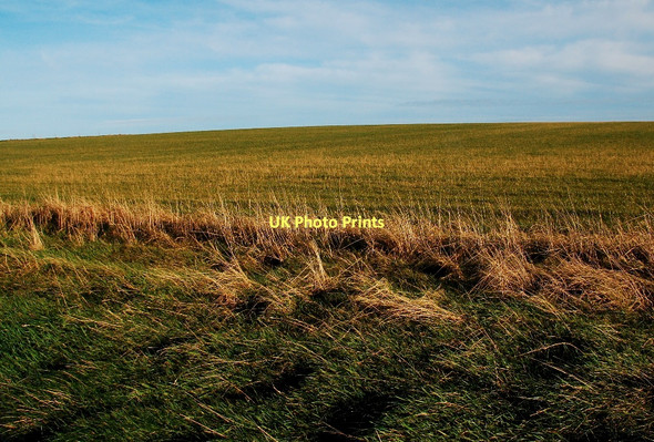 Photo 6"x4" Not that well? Burroughston c2011