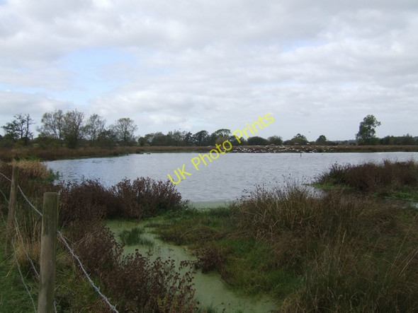 Photo 6"x4" Wetland at Aston Hall Farm Aston-By-Stone c2009