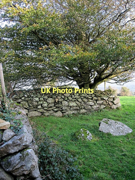 Photo 6"x4" Medieval Fort Graiguenamanagh c2011