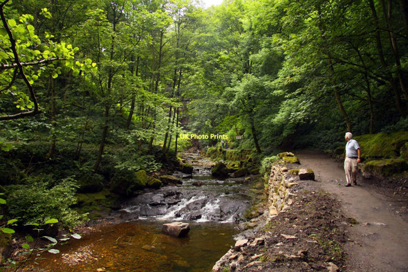 Photo 6"x4" Track by Hardraw Beck Hardraw c2011