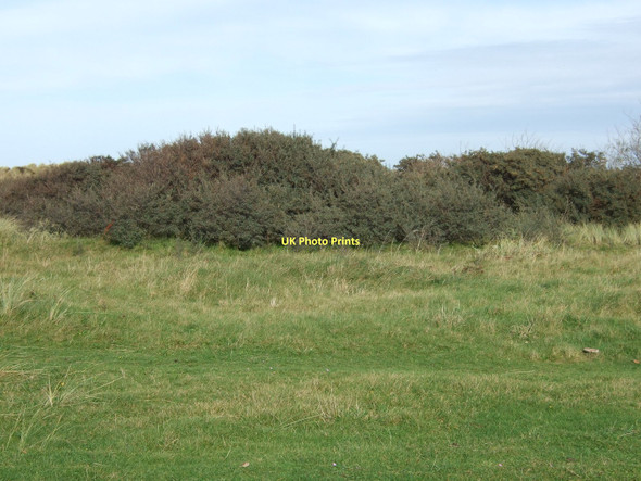 Photo 6"x4" Scrub south of Hightown Hightown\/SD2903 c2011