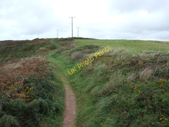 Photo 6"x4" Coast path above Lindsway Bay Bicton\/SM8407 c2009