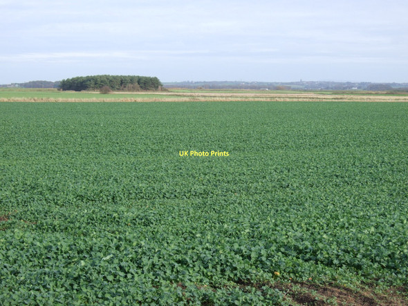 Photo 6"x4" Farmland off the A565 Lady Green\/SD3103 c2011