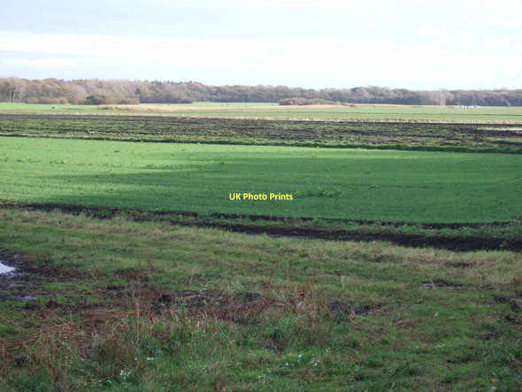 Photo 6"x4" Farmland off Moss Lane Lady Green\/SD3103 c2011
