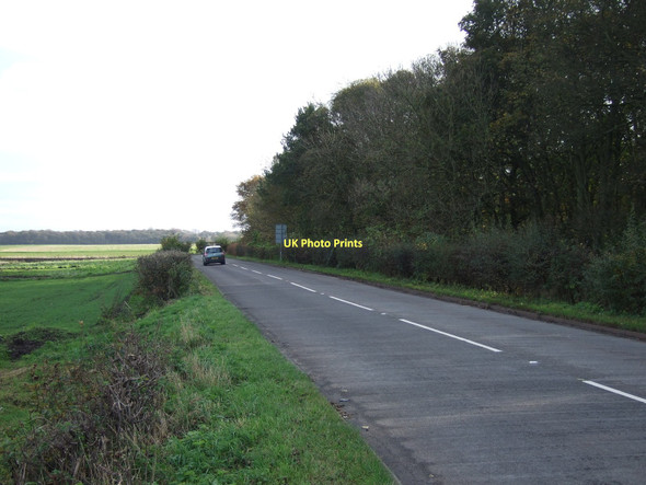 Photo 6"x4" Moss Lane (B5193) Lady Green\/SD3103 c2011