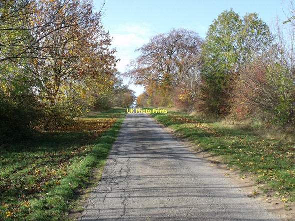 Photo 6"x4" Temple road in autumn Moor Wood\/TF0152 c2011