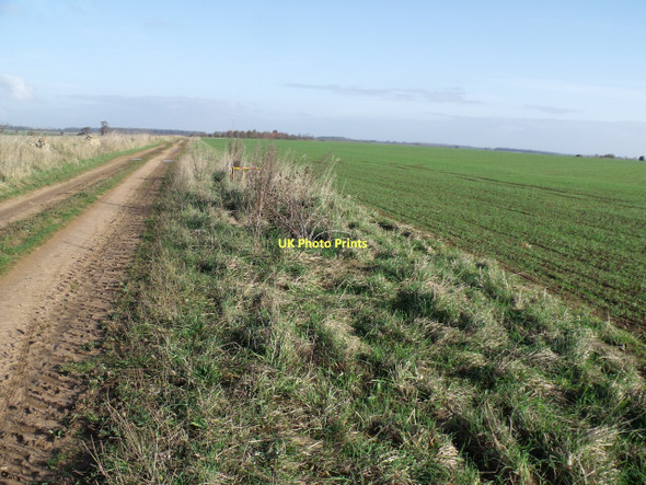 Photo 6"x4" Remote farm track and Fields Ashby de la Launde c2011