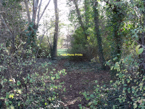 Photo 6"x4" Footpath to Long Plantation, from B1191 Ashby de la Launde c2011