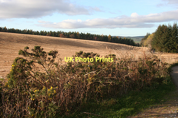 Photo 6"x4" Near Gownie Charlestown of Aberlour c2011