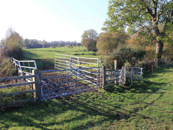 Photo 6"x4" Kissing gate on footpath to Cubbington Hunningham c2011