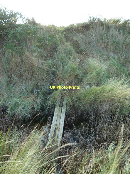 Photo 6"x4" My exit from field to foreshore Chidham c2011