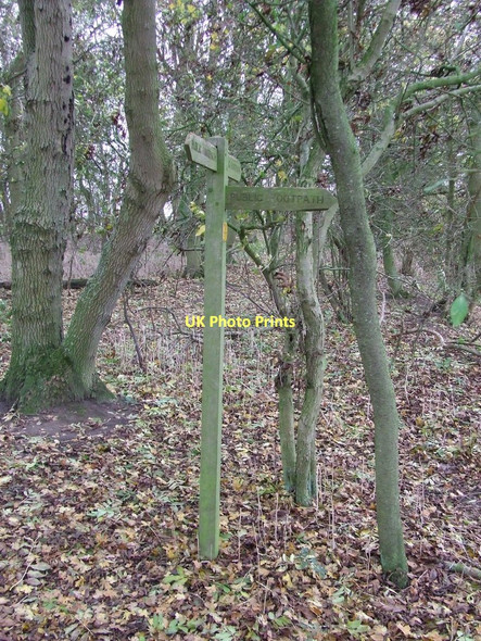 Photo 6"x4" In The Wood Mill Green\/TM1360 c2011