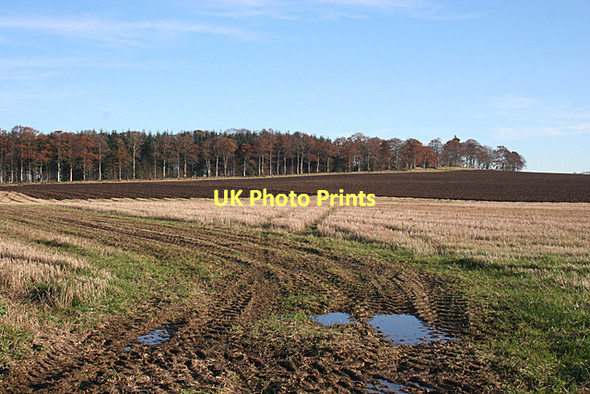 Photo 6"x4" Near Meikle Ribrae Bogton\/NJ6751 c2011