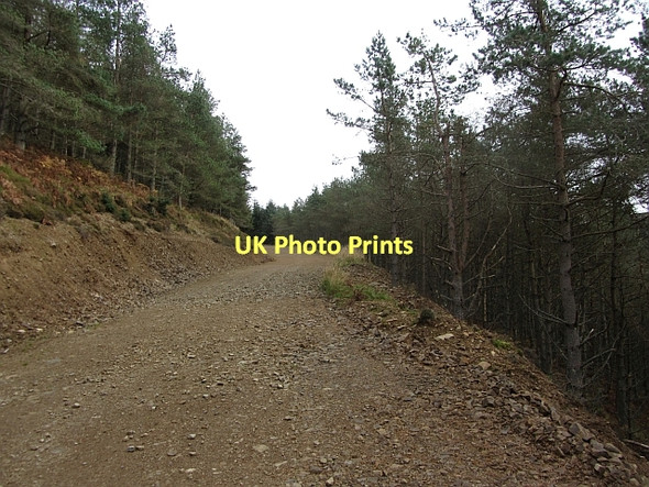 Photo 6"x4" Upgraded forest road, Williamslee Hope Williamslee c2011