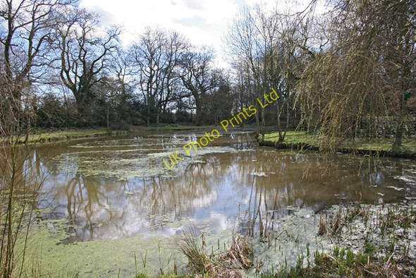 Photo 6"x4" Pond near Swelling Hill Gilbert Street c2006