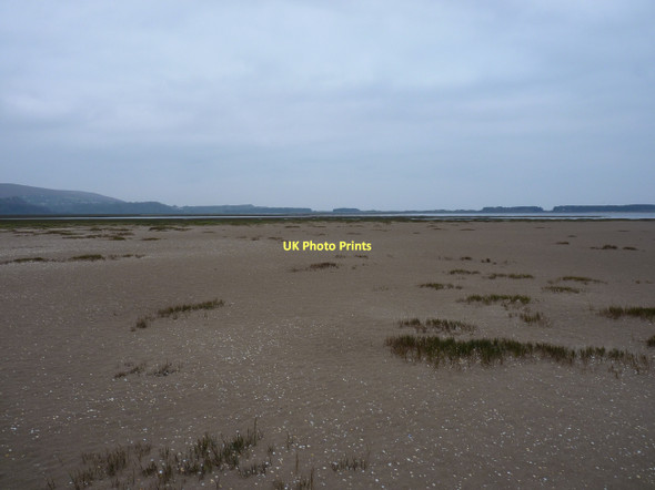Photo 6"x4" Westwards on Llanrhidian Marsh Landimore c2011