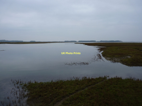 Photo 6"x4" Looking westwards on a flooding pill Landimore c2011