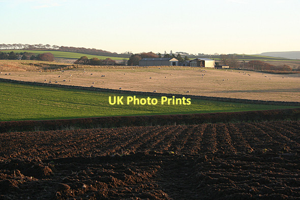 Photo 6"x4" Hillhead of Eden Keilhill c2011