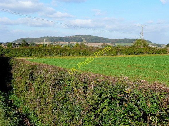 Photo 6"x4" Gretton Fields Gretton Fields c2009