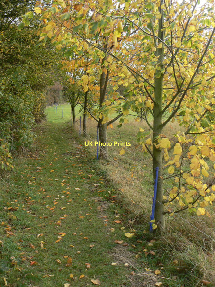Photo 6"x4" Footpath to Stanton Keyworth c2011