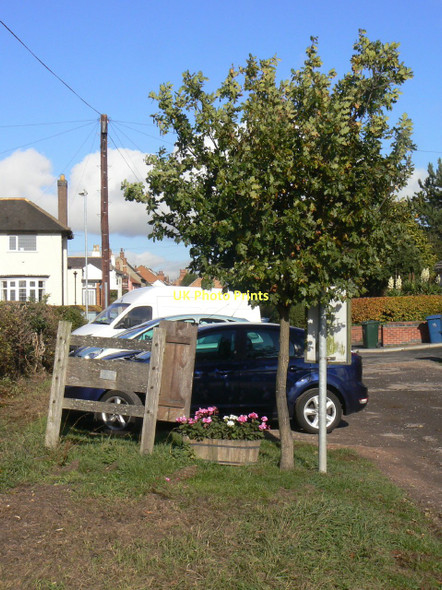 Photo 6"x4" Commemorative oak tree Keyworth c2011