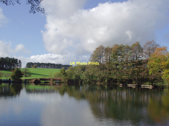 Photo 6"x4" Across Island Pool, Baggeridge Country Park near Wombournee Sedgley c2011