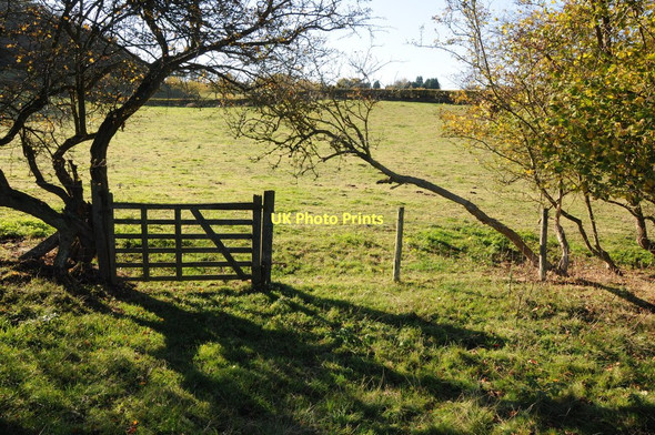 Photo 6"x4" Gate on a footpath near Highwood Highwood\/SO6566 c2011