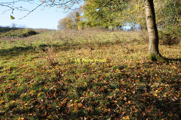 Photo 6"x4" Field at Highwood Highwood\/SO6566 c2011
