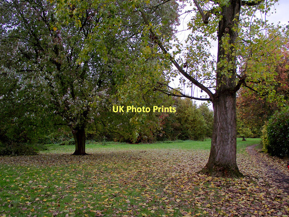 Photo 6"x4" Woodlands Walk in Penn, Wolverhampton Sedgley c2011