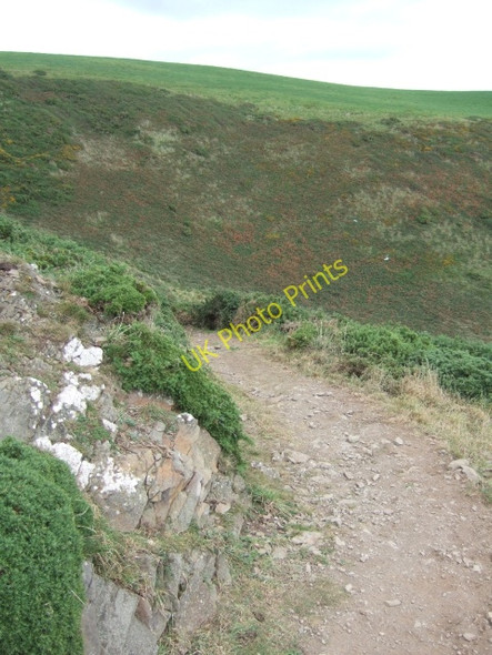 Photo 6"x4" Coast path and valley above Cwm Bach Newgale c2009