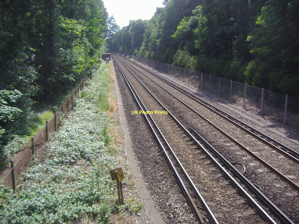 Photo 6"x4" Railway line by Sheath Lane, Oxshott Little Heath\/TQ1360 c2008 P1