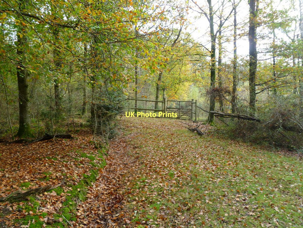 Photo 6"x4" Gritnam, gate Bank\/SU2807 c2011