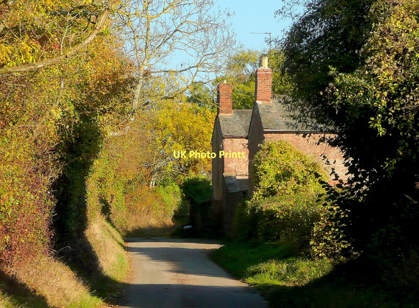 Photo 6"x4" Springetts Lane Kingstone\/SO6324 c2011