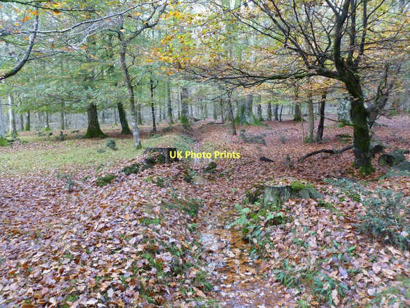 Photo 6"x4" Gritnam, ditch Bank\/SU2807 c2011