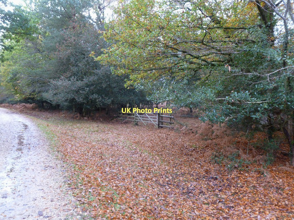 Photo 6"x4" Hursthill Inclosure, gates Balmerlawn c2011