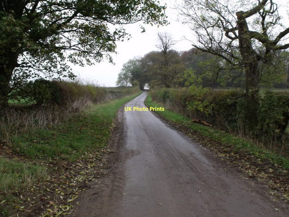 Photo 6"x4" Lane from Brattleby towards Pitts Plantation Aisthorpe c2011