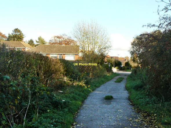 Photo 6"x4" Debdale Lane Plumtree Park c2011