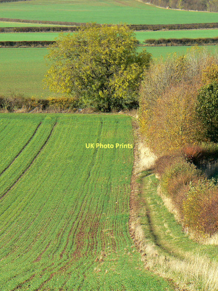 Photo 6"x4" Footpath to Plumtree Plumtree Park c2011