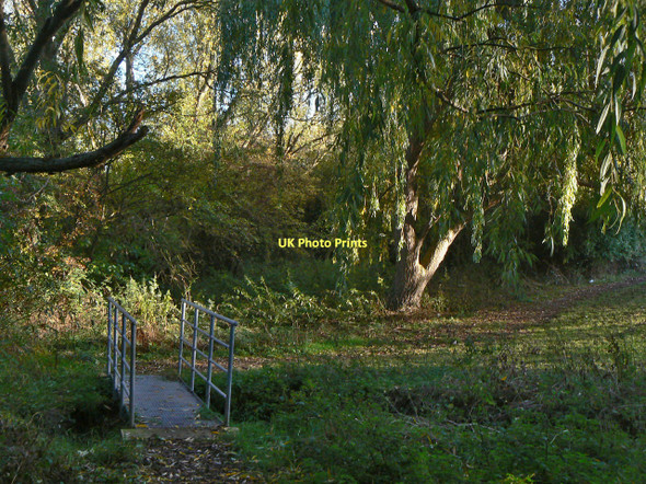Photo 6"x4" Footbridge at the back of the British Geological Survey Plumtree Park c2011