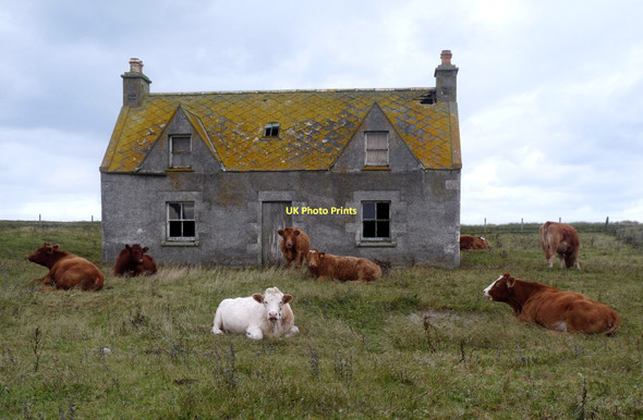 Photo 6"x4" Old house at Balranald Hogha Gearraidh c2011