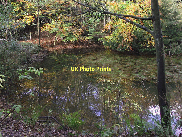 Photo 6"x4" The Upper Wishing Pool in Baggeridge Country Park near Sedgley Sedgley c2011