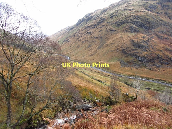 Photo 6"x4" Glen Fyne Allt a Mhuilinn c2011