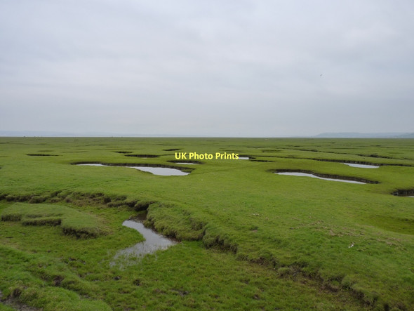 Photo 6"x4" Eastwards across Llanrhidian Marsh from the causeway Landimore c2011