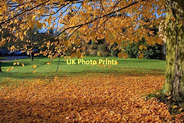 Photo 6"x4" Village Green, Edensor Edensor c2011