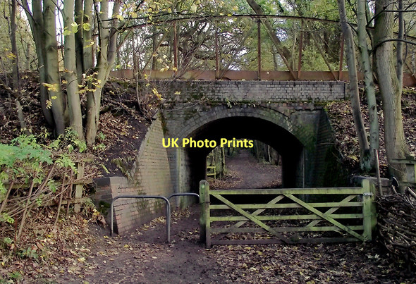 Photo 6"x4" Footpath and bridge in Baggeridge Country Park near Sedgley Sedgley c2011
