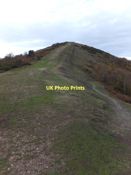 Photo 6"x4" On Black Hill Brand Green\/SO7641 c2011